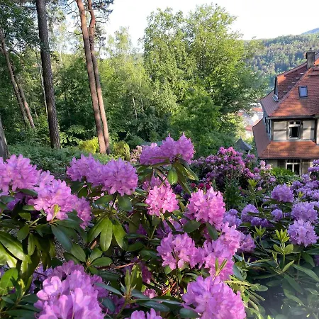 Lejlighed Sonnenburg *