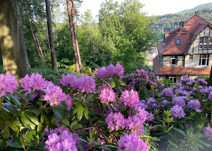 Lejlighed Sonnenburg *